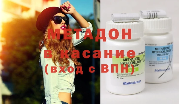 хмурый Аркадак