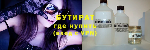 хмурый Аркадак