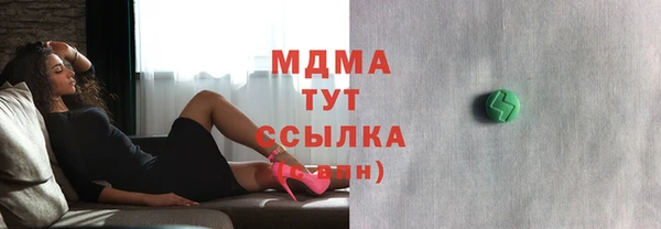 хмурый Аркадак