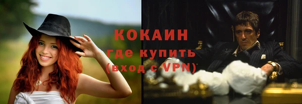 хмурый Аркадак