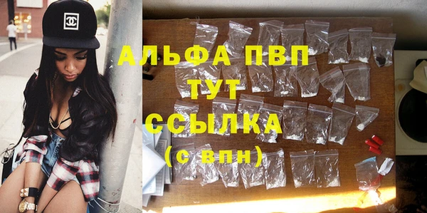 хмурый Аркадак