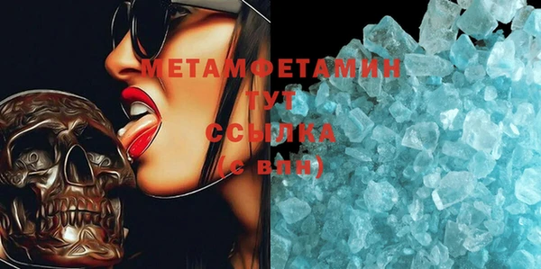 хмурый Аркадак
