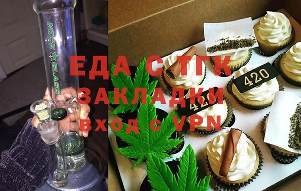 хмурый Аркадак