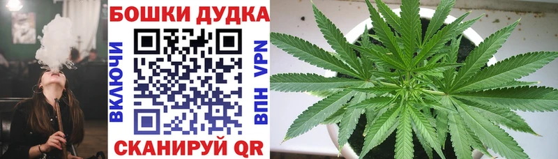 Купить где  Южно-Сахалинск  Каннабис Bruce Banner 